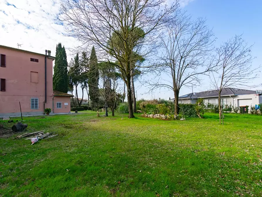 Immagine 5 di Casa bifamiliare in vendita  a Pontedera