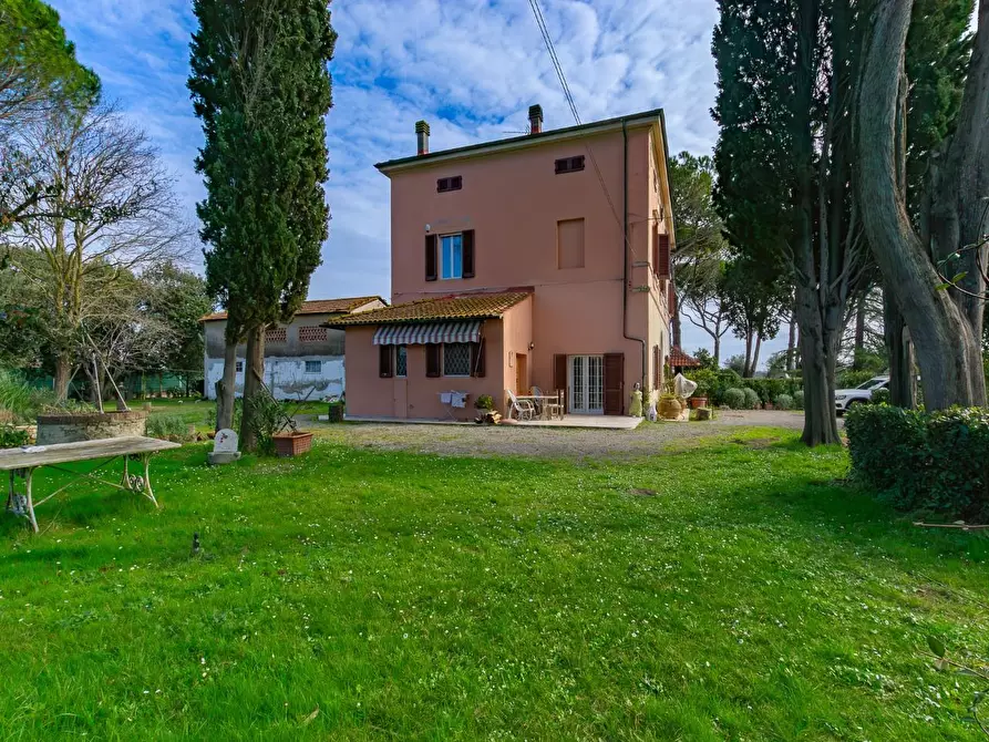 Immagine 3 di Casa bifamiliare in vendita  a Pontedera