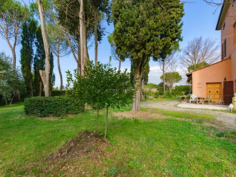 Immagine 2 di Casa bifamiliare in vendita  a Pontedera