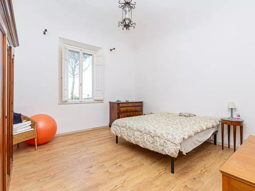 Immagine 28 di Casa bifamiliare in vendita  a Pontedera