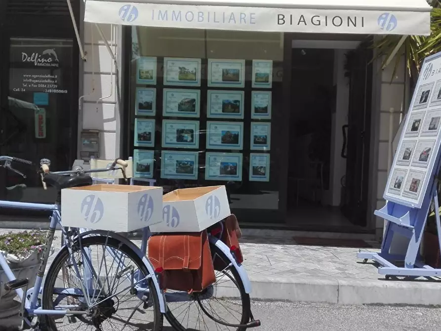 Immagine 21 di Casa bifamiliare in vendita  a Pietrasanta