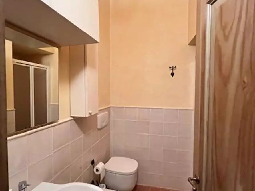 Immagine 23 di Casa colonica in vendita  a Monteriggioni