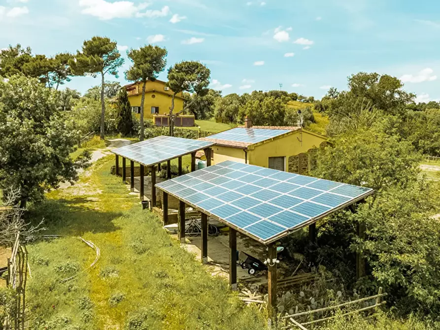 Immagine 5 di Villa in vendita  a Magliano In Toscana