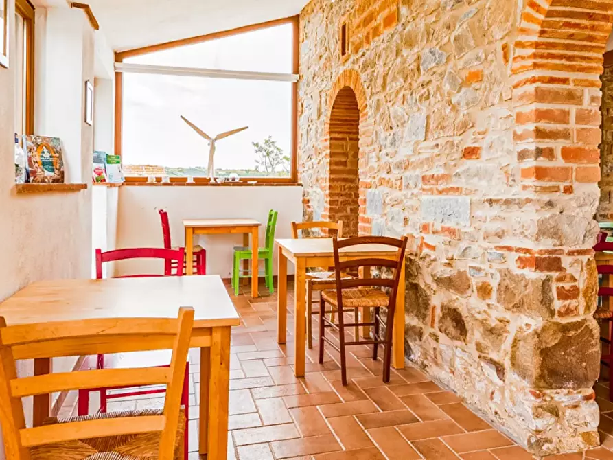 Immagine 18 di Villa in vendita  a Magliano In Toscana