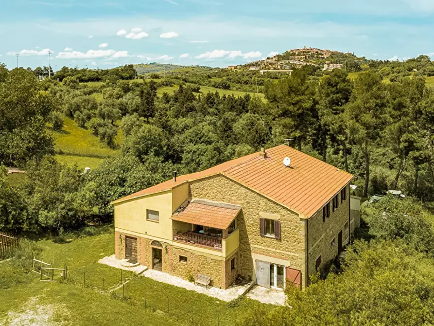 Immagine 9 di Villa in vendita  a Magliano In Toscana