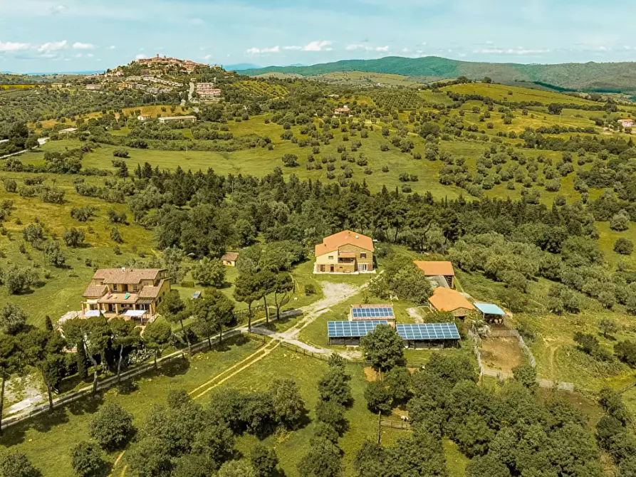 Immagine 8 di Villa in vendita  a Magliano In Toscana