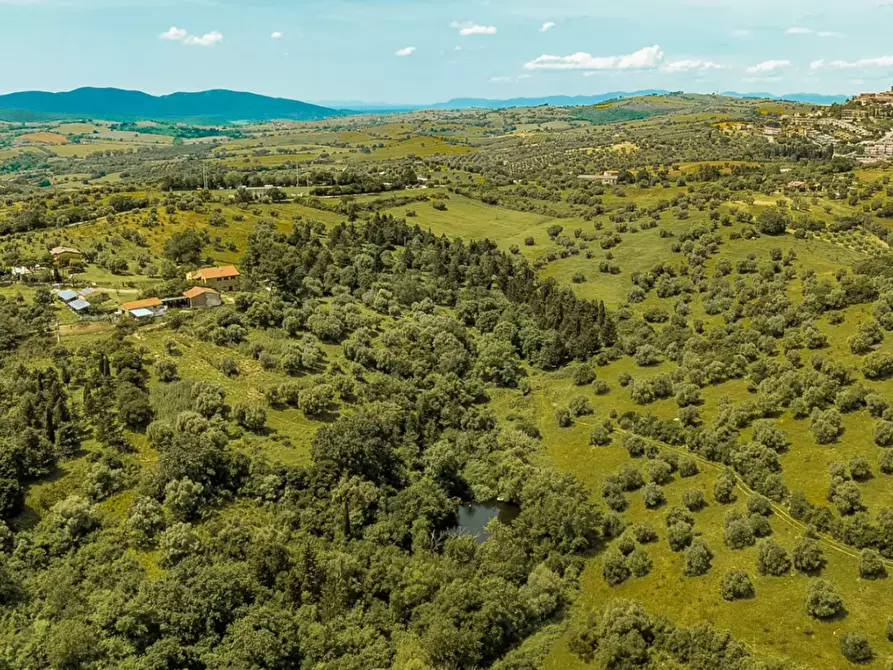 Immagine 7 di Villa in vendita  a Magliano In Toscana
