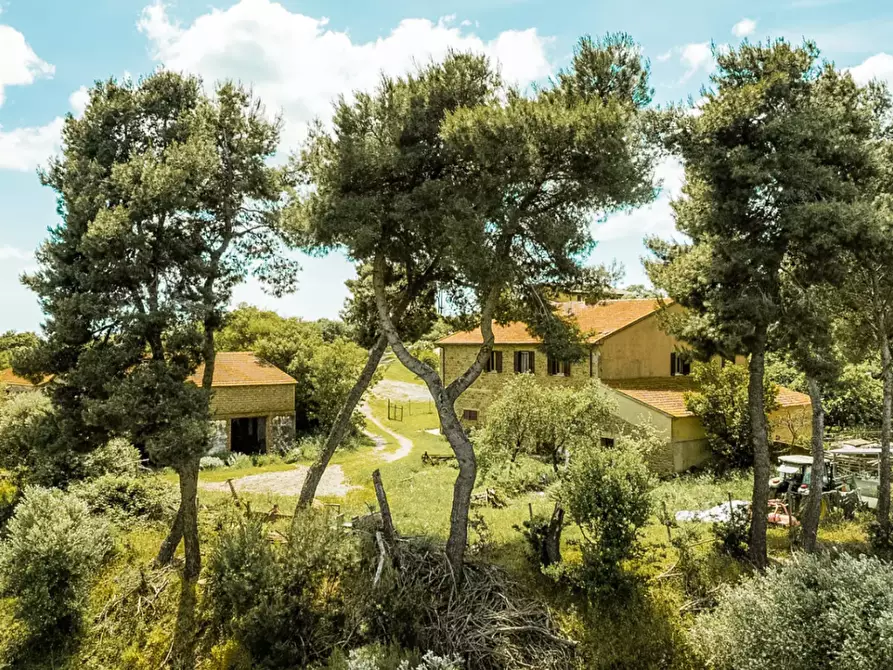 Immagine 3 di Villa in vendita  a Magliano In Toscana
