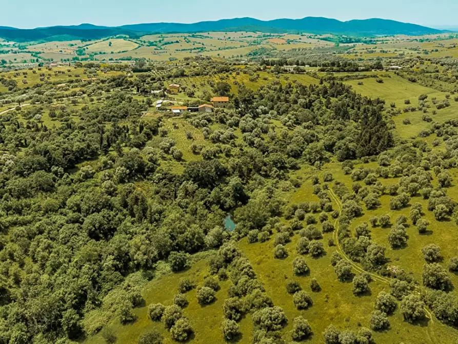 Immagine 6 di Villa in vendita  a Magliano In Toscana
