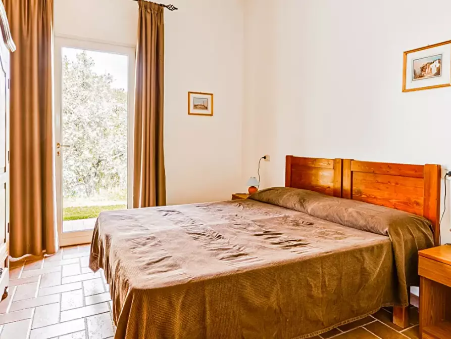 Immagine 23 di Villa in vendita  a Magliano In Toscana