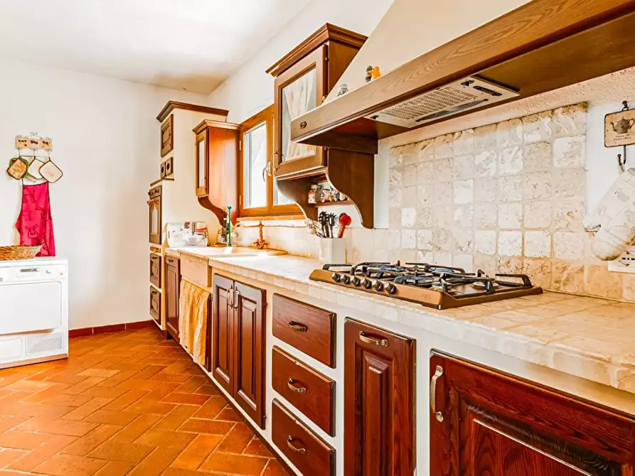 Immagine 13 di Villa in vendita  a Magliano In Toscana