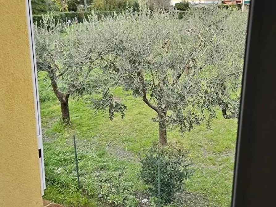 Immagine 9 di Terratetto in vendita  a San Giuliano Terme