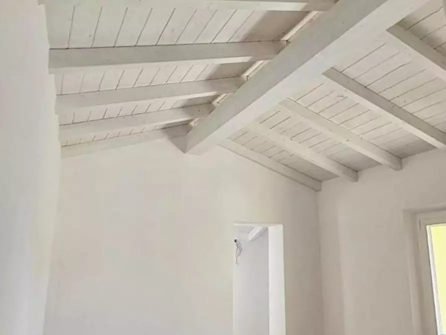 Immagine 5 di Terratetto in vendita  a San Giuliano Terme