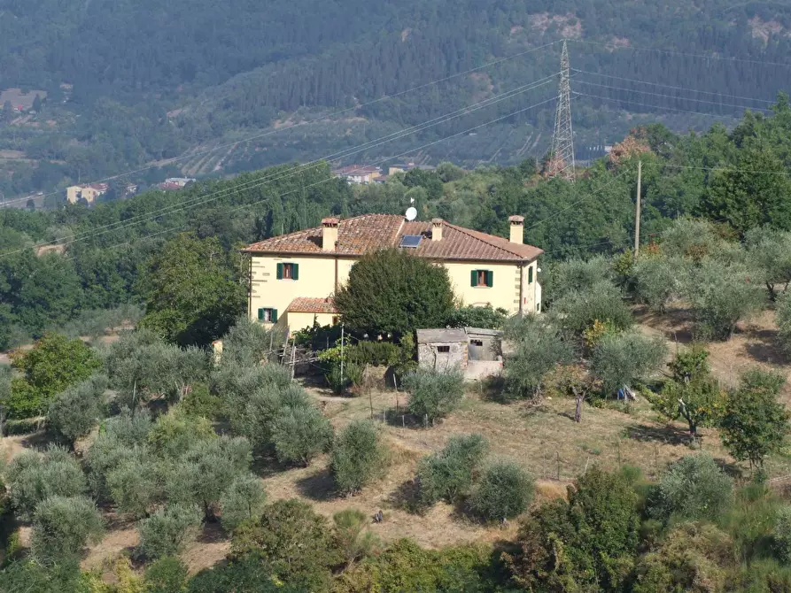 Immagine 6 di Casa colonica in vendita  a Rufina