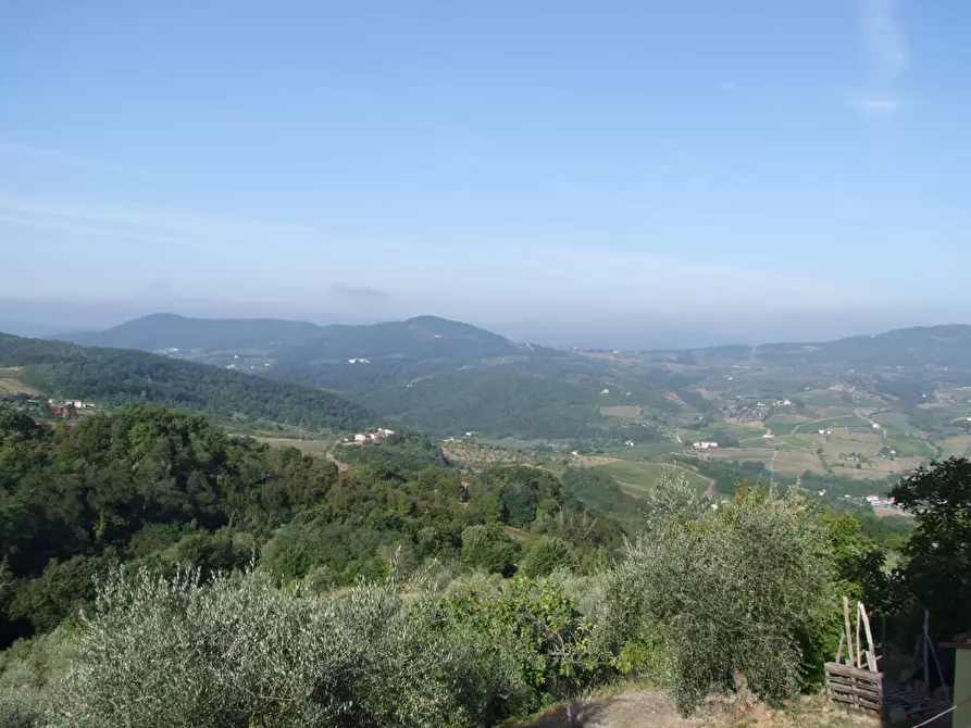 Immagine 7 di Casa colonica in vendita  a Rufina