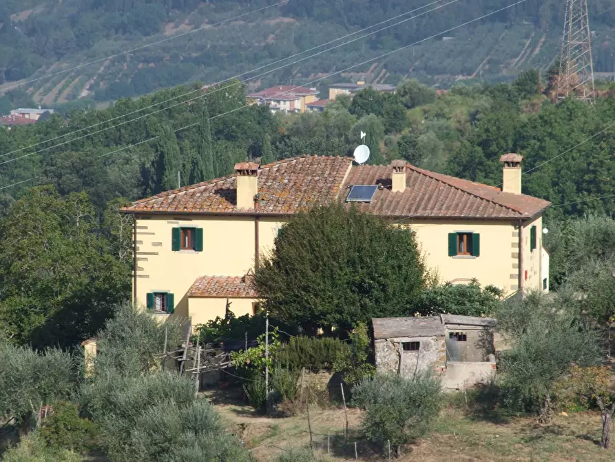 Immagine 3 di Casa colonica in vendita  a Rufina