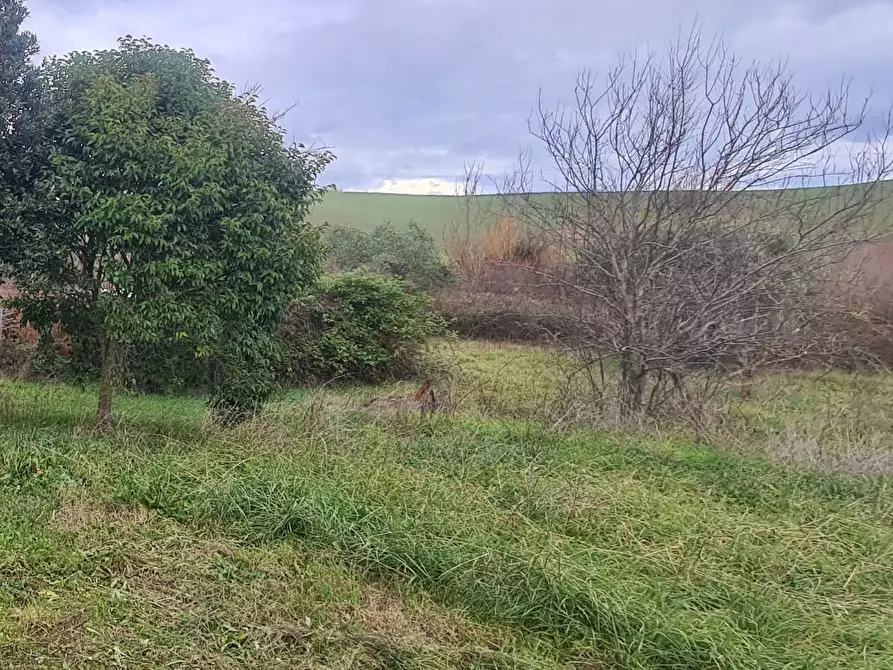 Immagine 1 di Porzione di casa in vendita  a Rosignano Marittimo