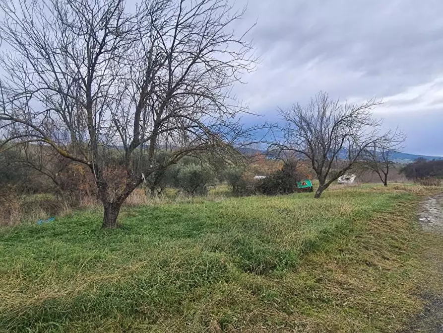 Immagine 3 di Porzione di casa in vendita  a Rosignano Marittimo