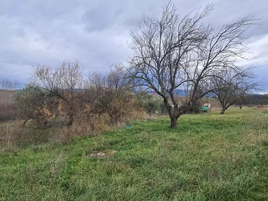 Immagine 2 di Porzione di casa in vendita  a Rosignano Marittimo