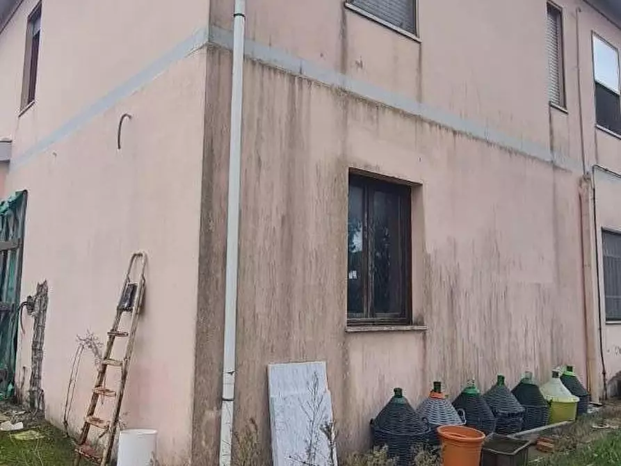 Immagine 6 di Porzione di casa in vendita  a Rosignano Marittimo