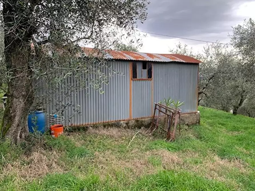 Immagine 5 di Terreno agricolo in vendita  a Buggiano