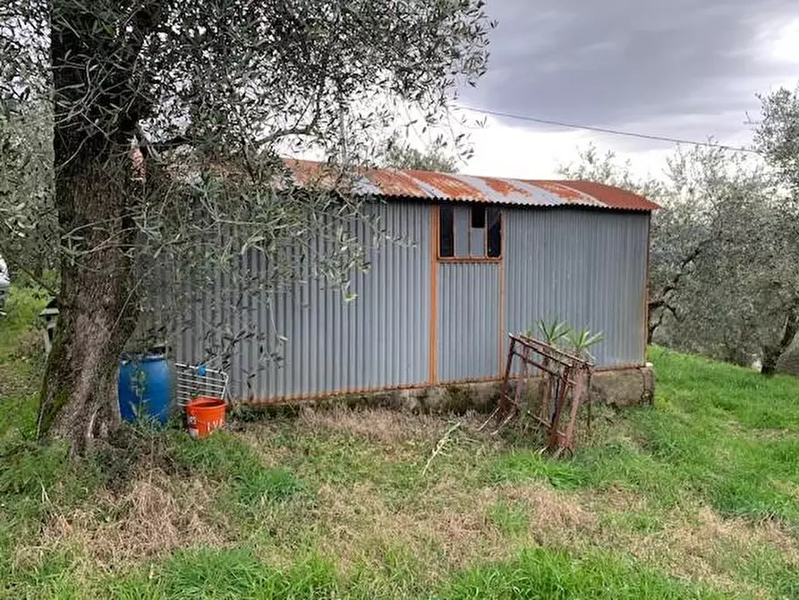 Immagine 4 di Terreno agricolo in vendita  a Buggiano
