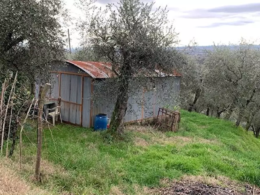 Immagine 9 di Terreno agricolo in vendita  a Buggiano