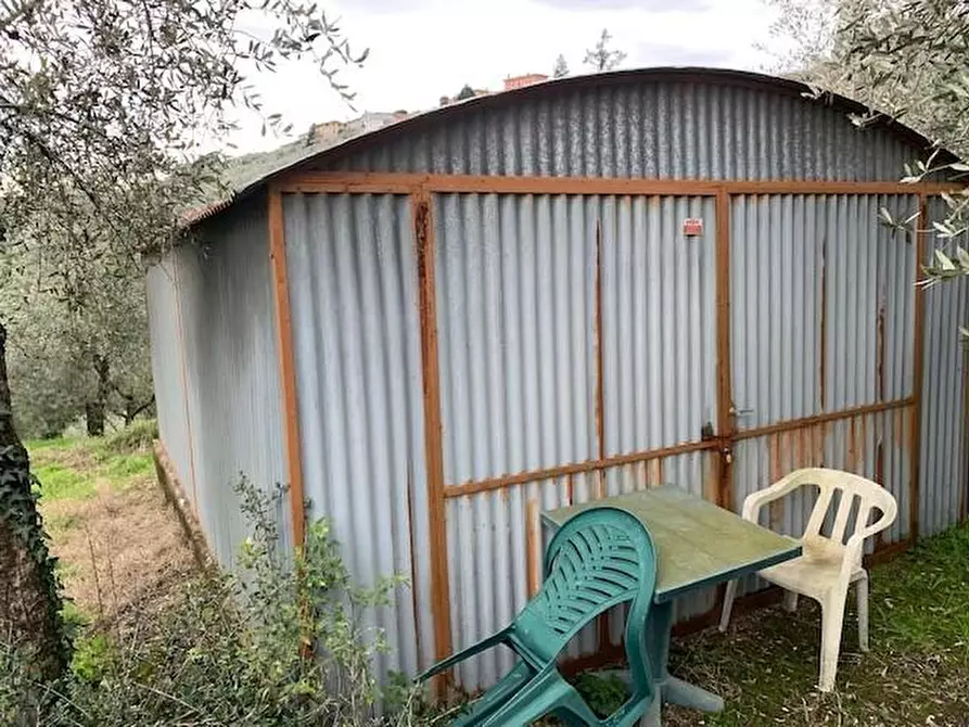 Immagine 3 di Terreno agricolo in vendita  a Buggiano
