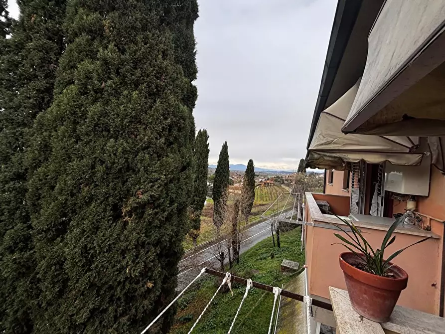 Immagine 25 di Appartamento in vendita  a Peccioli