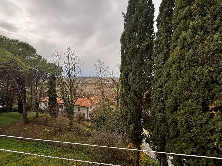 Immagine 26 di Appartamento in vendita  a Peccioli