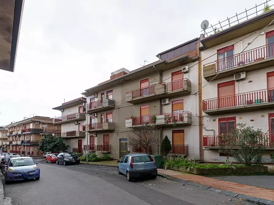 Immagine 35 di Appartamento in vendita  a Aci Catena