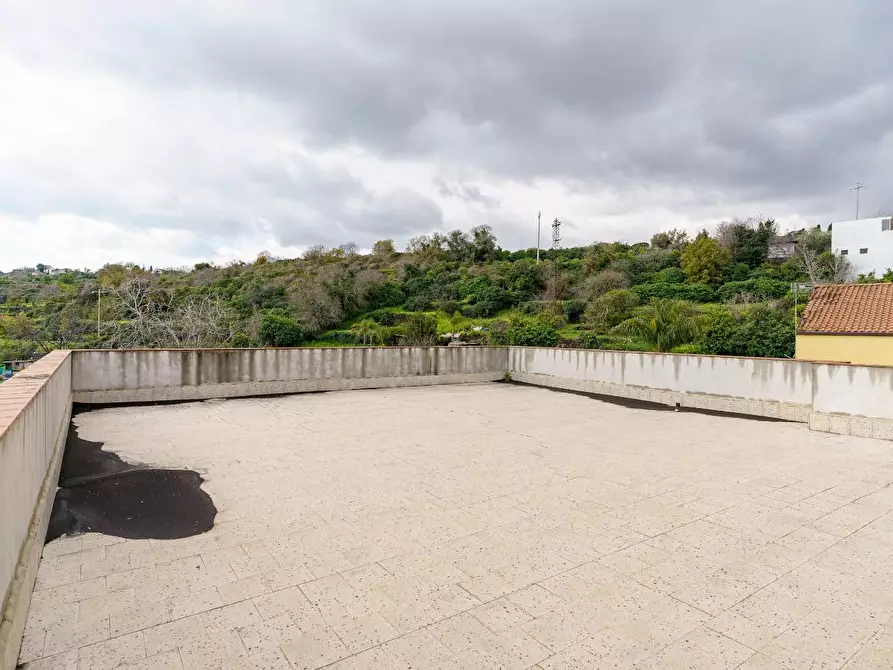 Immagine 33 di Appartamento in vendita  a Aci Catena