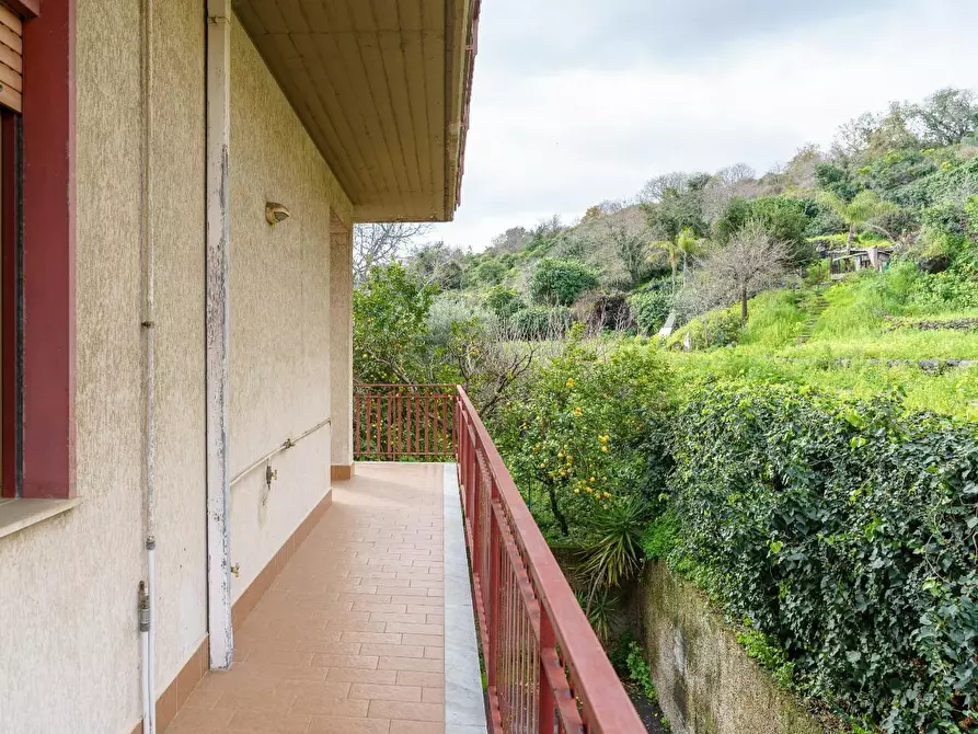 Immagine 20 di Appartamento in vendita  a Aci Catena