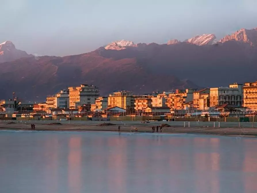 Immagine 3 di Attività commerciale in vendita  a Pietrasanta