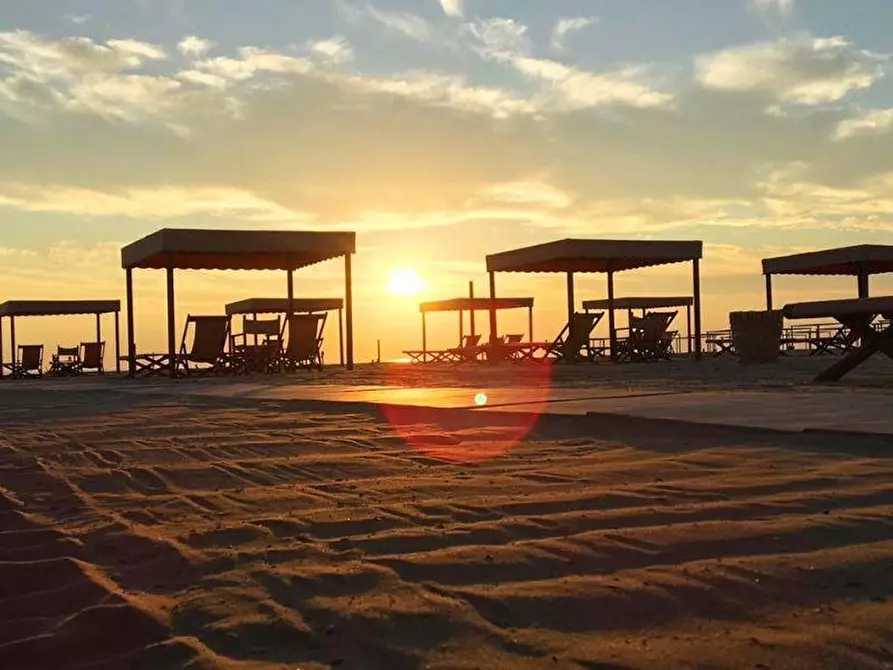 Immagine 2 di Attività commerciale in vendita  a Pietrasanta