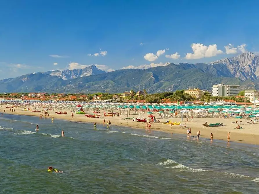 Immagine 5 di Attività commerciale in vendita  a Pietrasanta