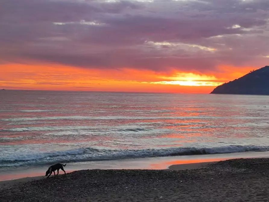 Immagine 12 di Casa bifamiliare in vendita  a Carrara