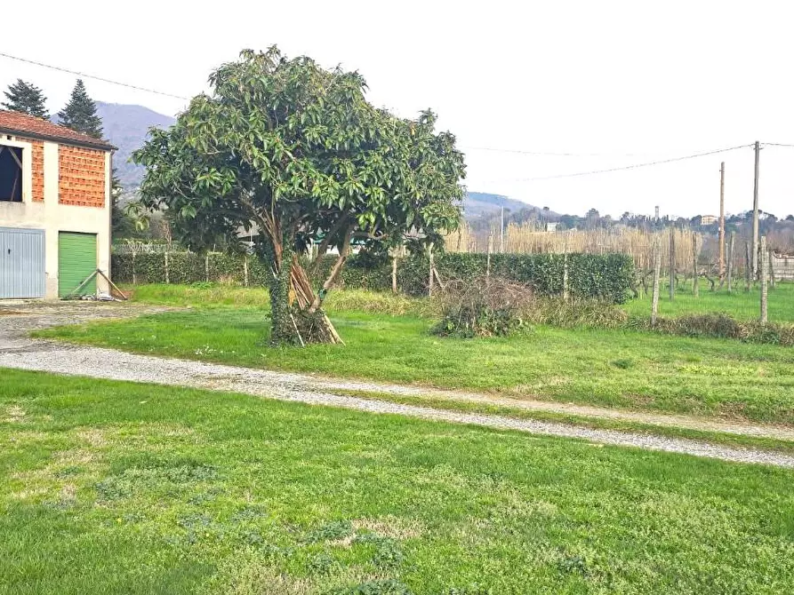 Immagine 9 di Deposito in vendita  a Capannori