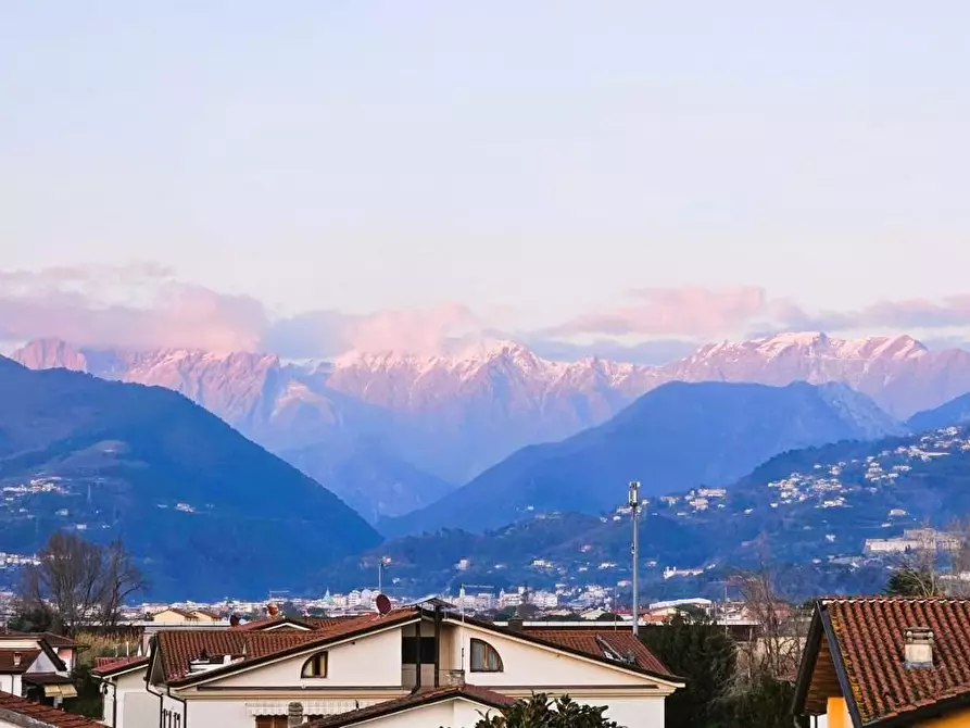 Immagine 18 di Appartamento in vendita  a Massa