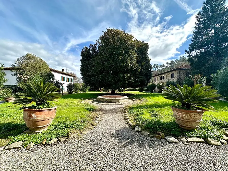 Immagine 4 di Villa in vendita  a Capannori
