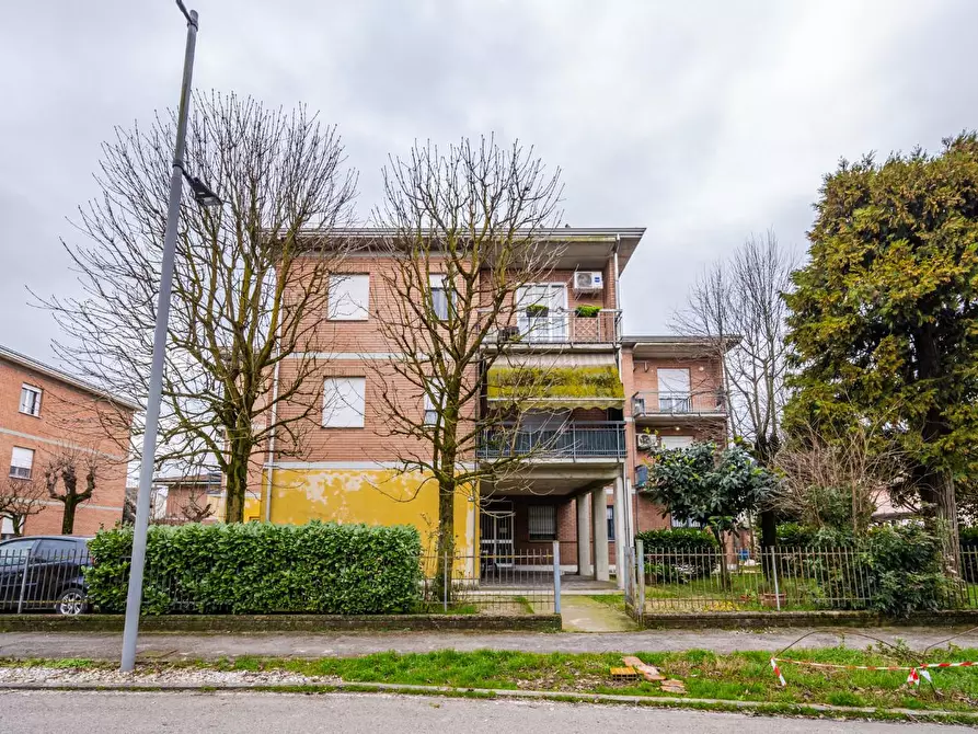 Immagine 10 di Appartamento in vendita  a Bagnolo In Piano