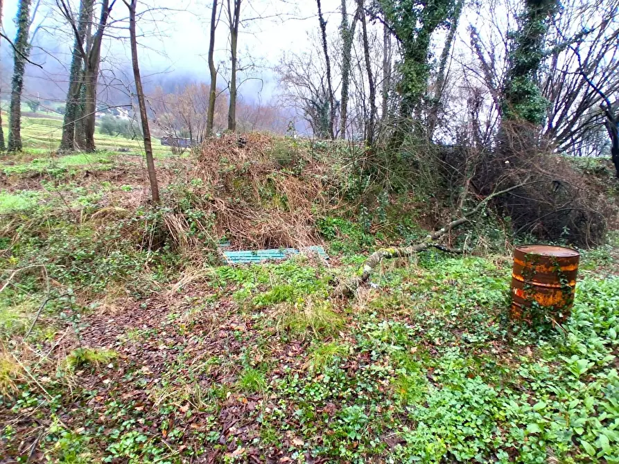 Immagine 23 di Casa indipendente in vendita  a Borgo A Mozzano