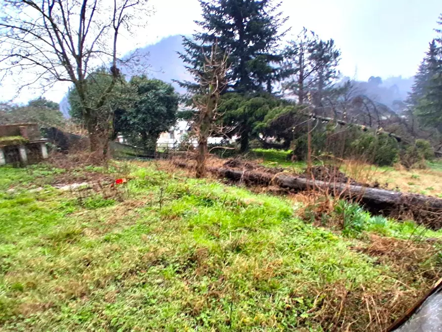 Immagine 21 di Casa indipendente in vendita  a Borgo A Mozzano