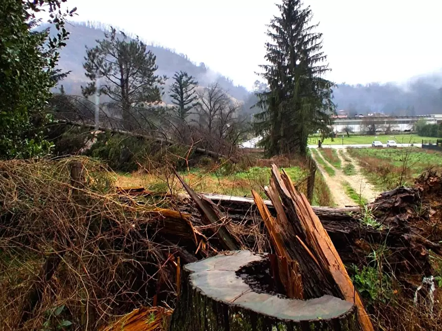 Immagine 22 di Casa indipendente in vendita  a Borgo A Mozzano