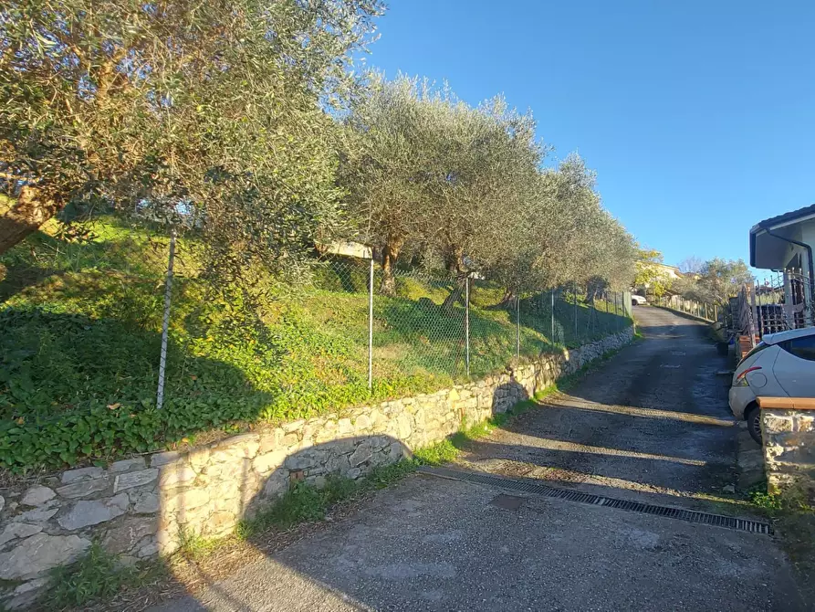 Immagine 28 di Villa in vendita  a Massarosa