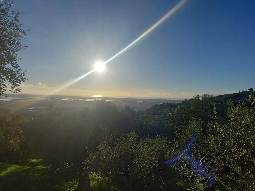 Immagine 30 di Villa in vendita  a Massarosa