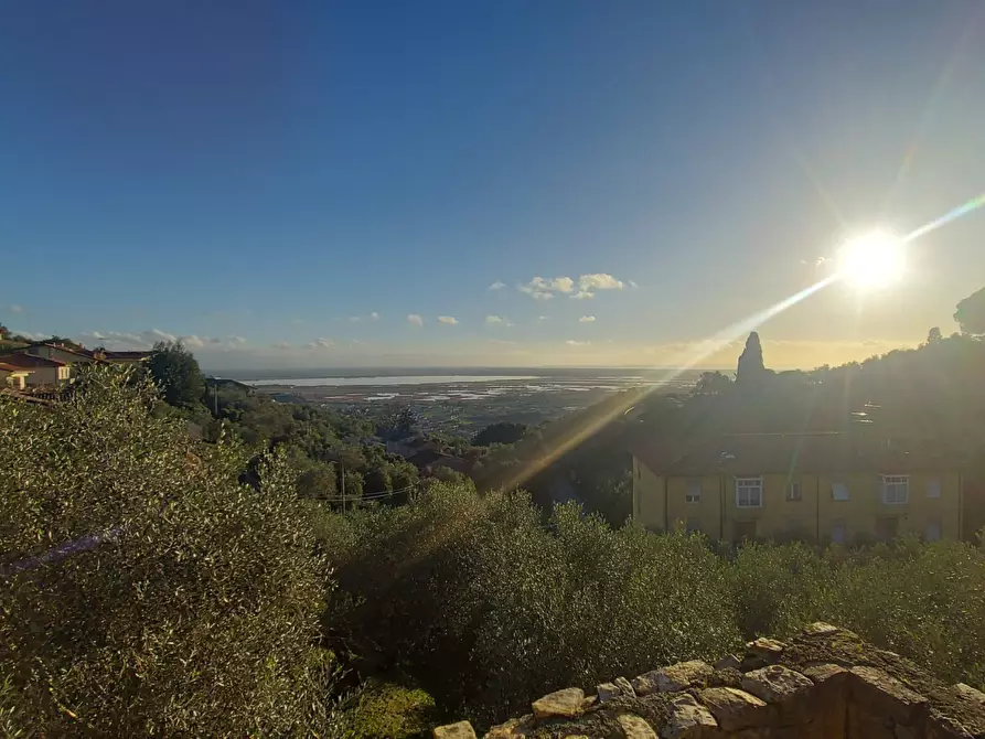 Immagine 20 di Villa in vendita  a Massarosa