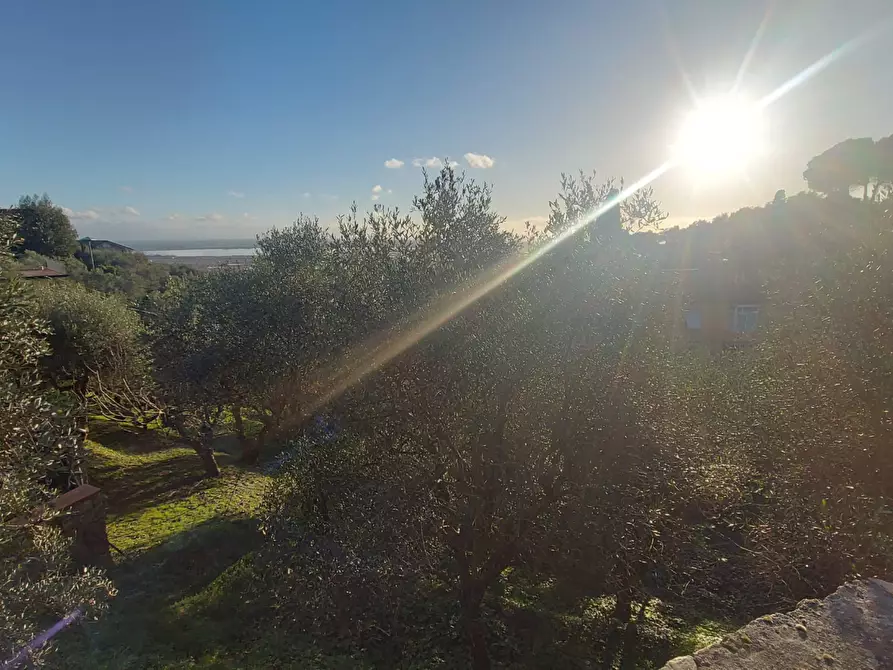 Immagine 26 di Villa in vendita  a Massarosa