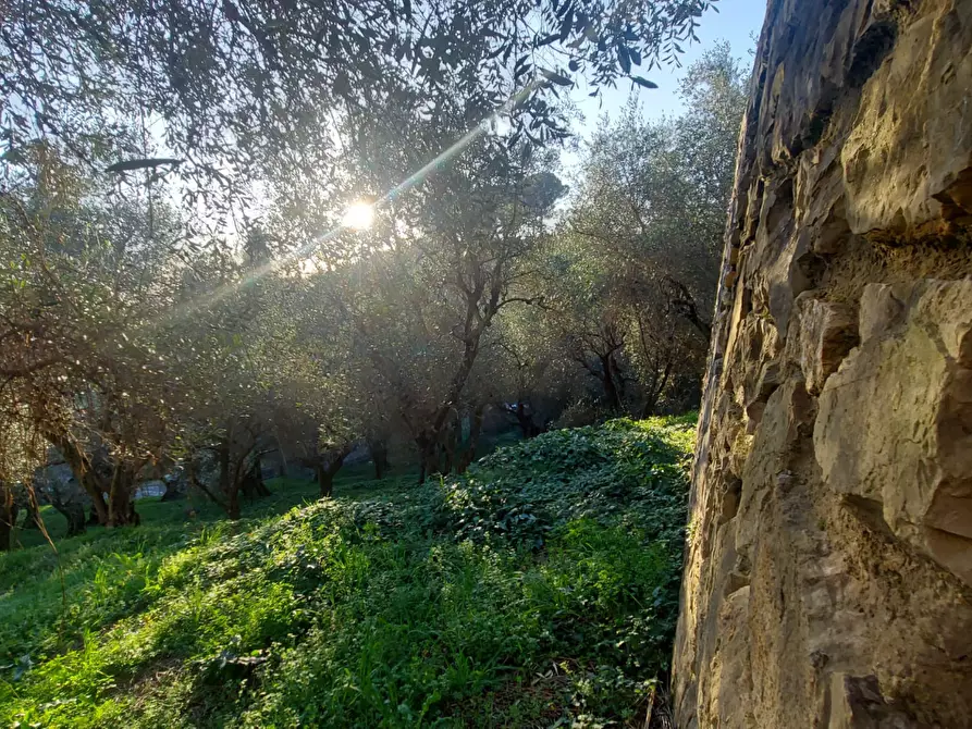 Immagine 2 di Villa in vendita  a Massarosa