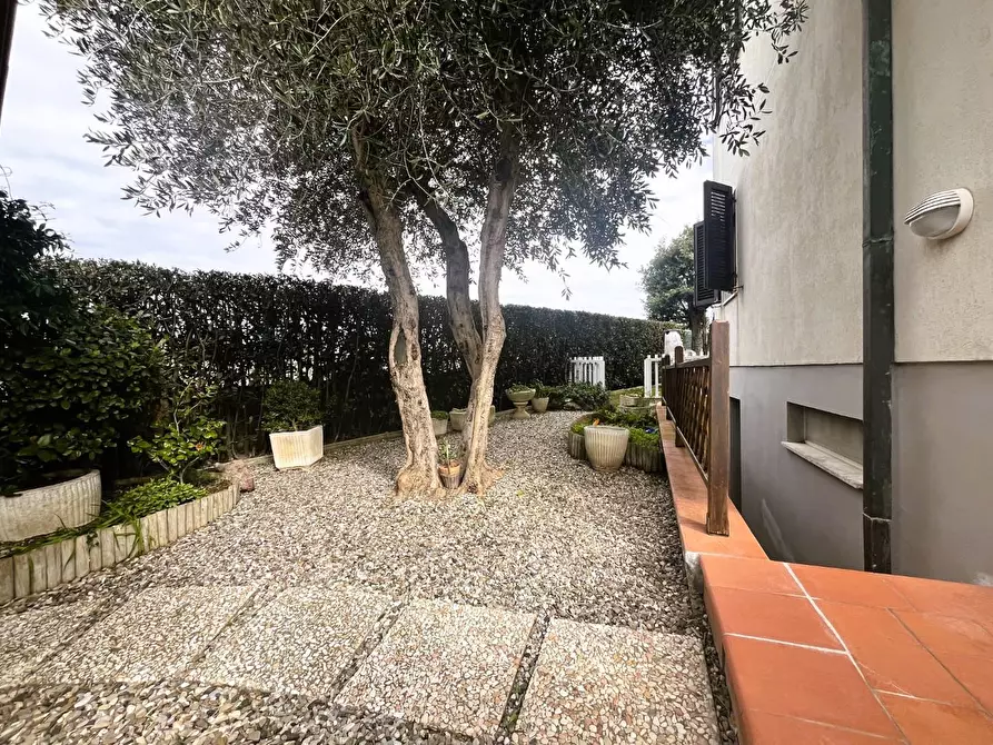 Immagine 13 di Villa in vendita  a Rosignano Marittimo